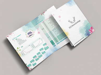 生物科技對(duì)折頁(yè)